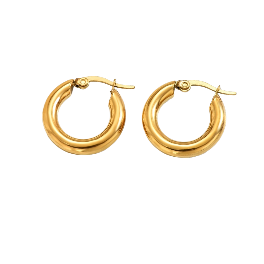 14K Gold Plated Hoop Earrings