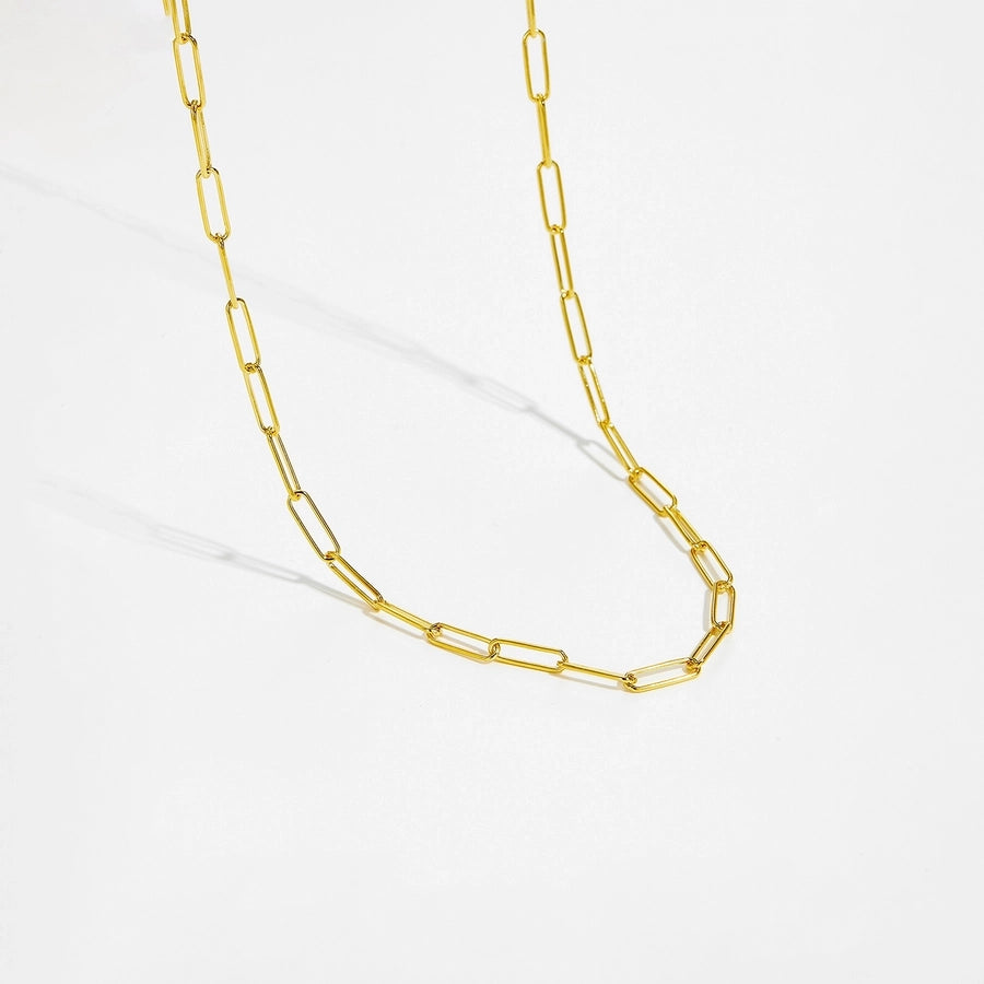 S925 Sterling Silver Thick Chain Necklace